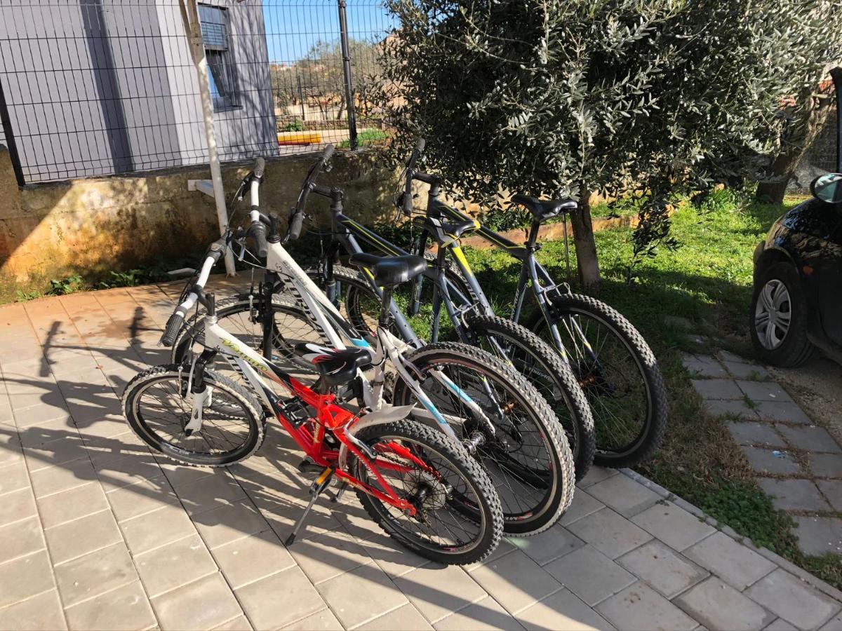 Apartment Madis & Free Bikes 풀라 외부 사진